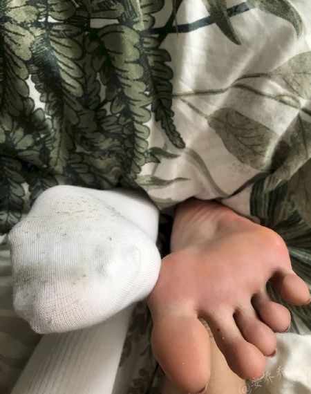 成全视频观看免费高清第6季