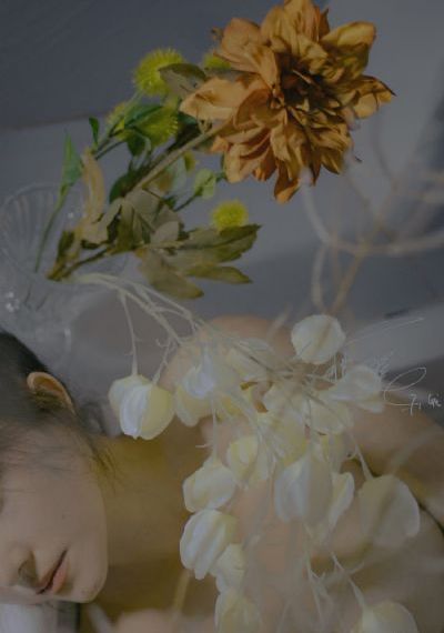 凡人歌电视剧免费看流畅播放